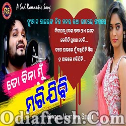 To Bina Mu Mari Jibi (Humane Sagar) Odia Sad Romantic Song